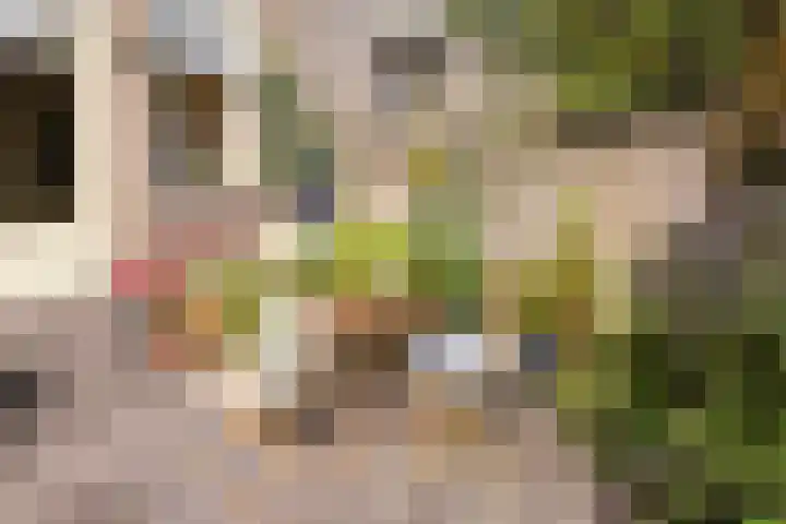 Ravensdonk 49 Eindhoven thumbnail 32