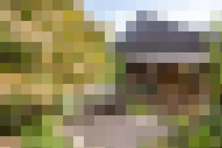 Ravensdonk 49 Eindhoven thumbnail 33