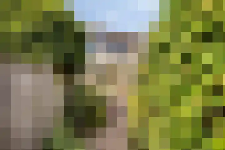 Ravensdonk 49 Eindhoven thumbnail 35
