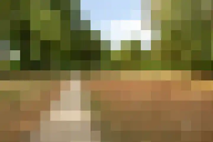 Ravensdonk 49 Eindhoven thumbnail 37