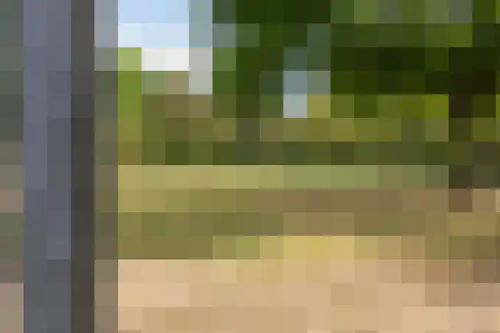 Ravensdonk 49 Eindhoven thumbnail 38