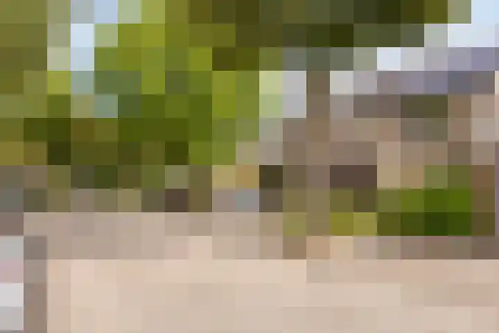 Ravensdonk 49 Eindhoven thumbnail 5
