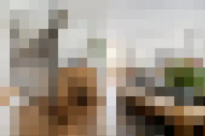 Ravensdonk 49 Eindhoven thumbnail 7