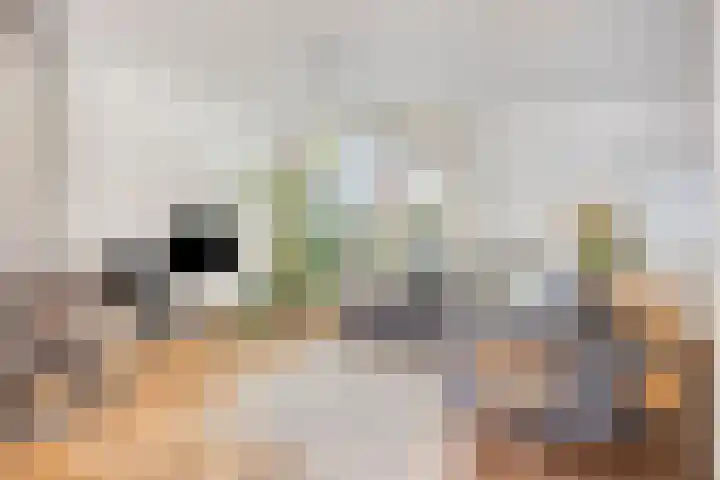 Ravensdonk 49 Eindhoven thumbnail 9