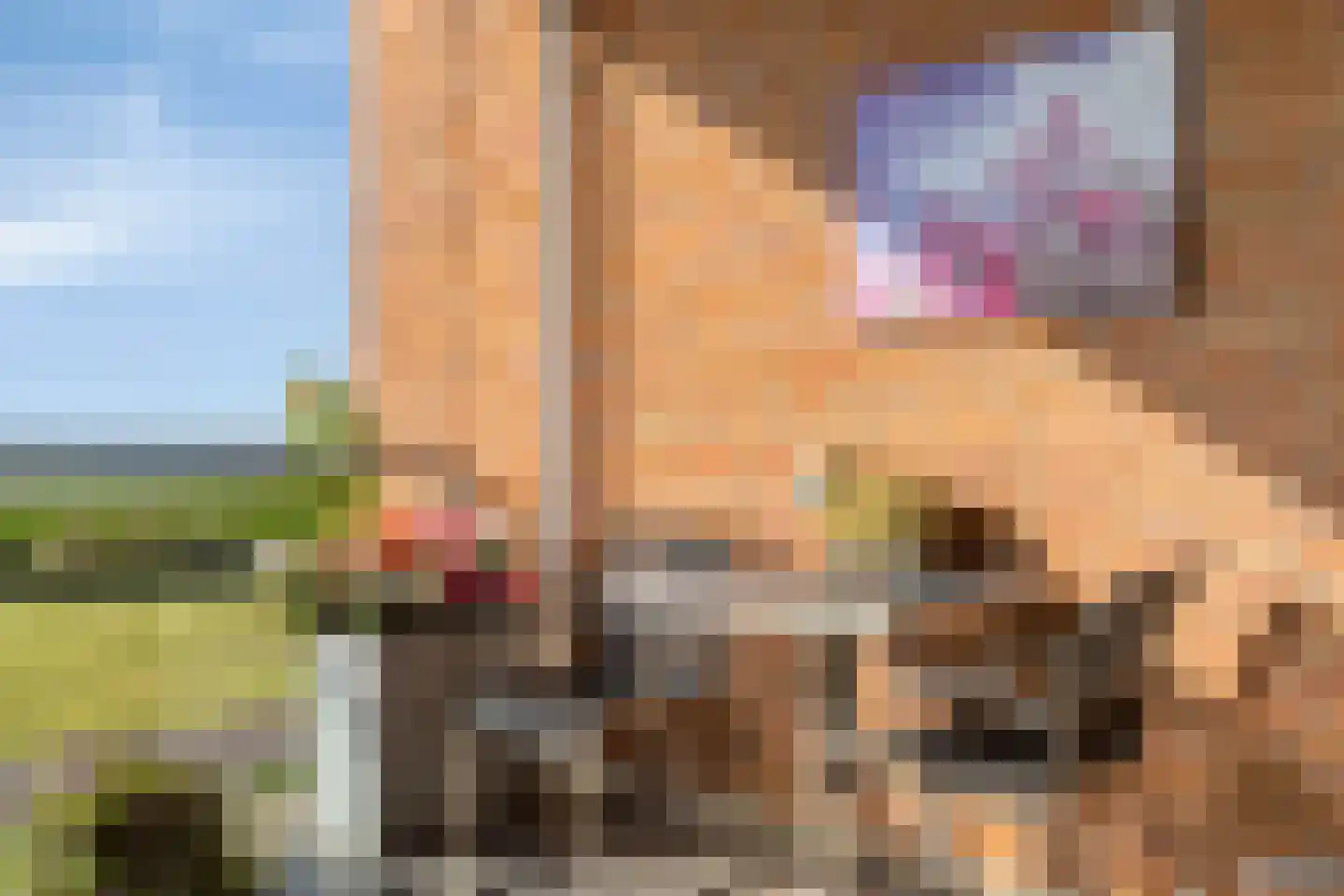 Ravenstein 17 Kruiningen thumbnail 24