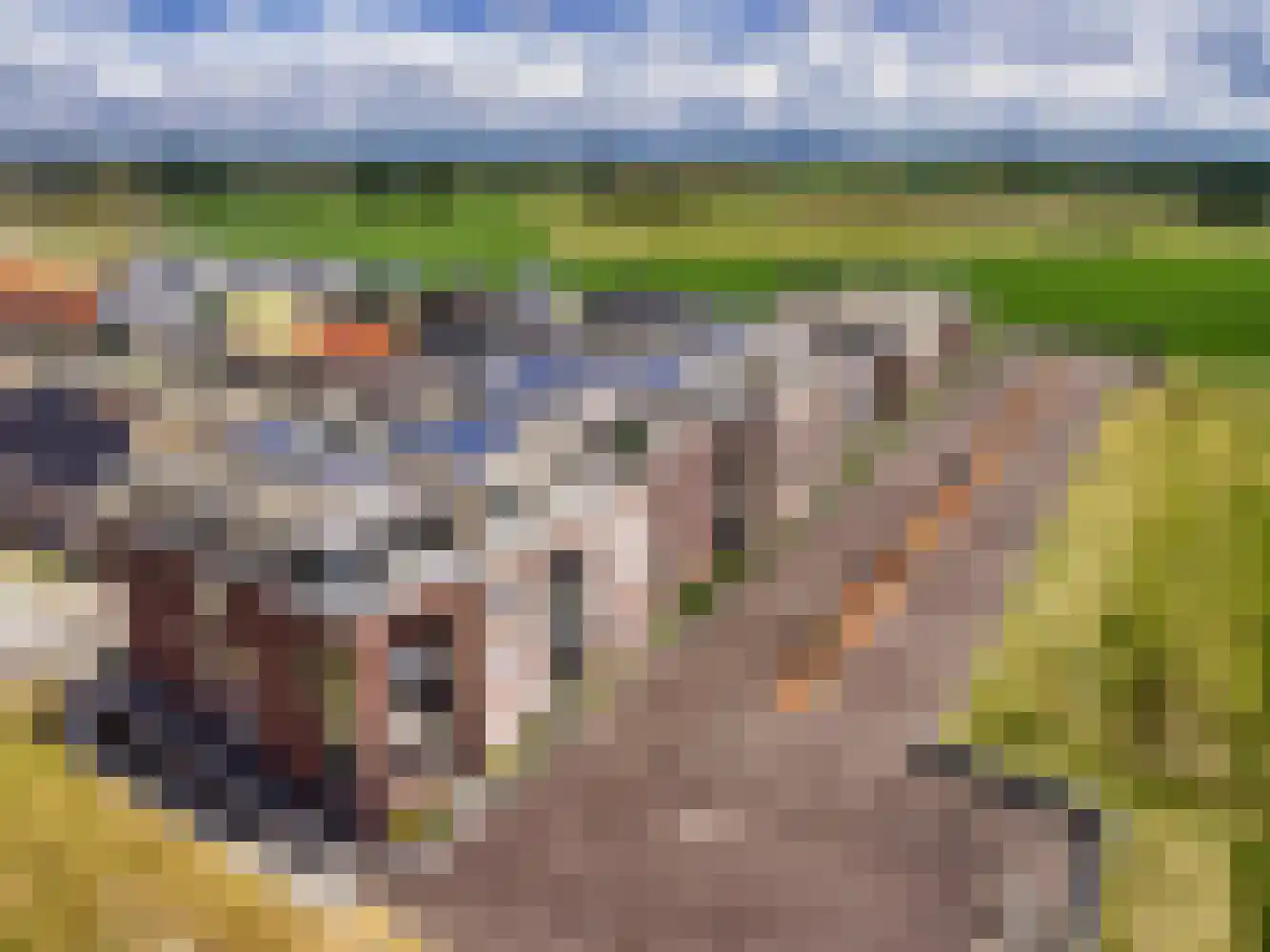 Ravenstein 17 Kruiningen thumbnail 4