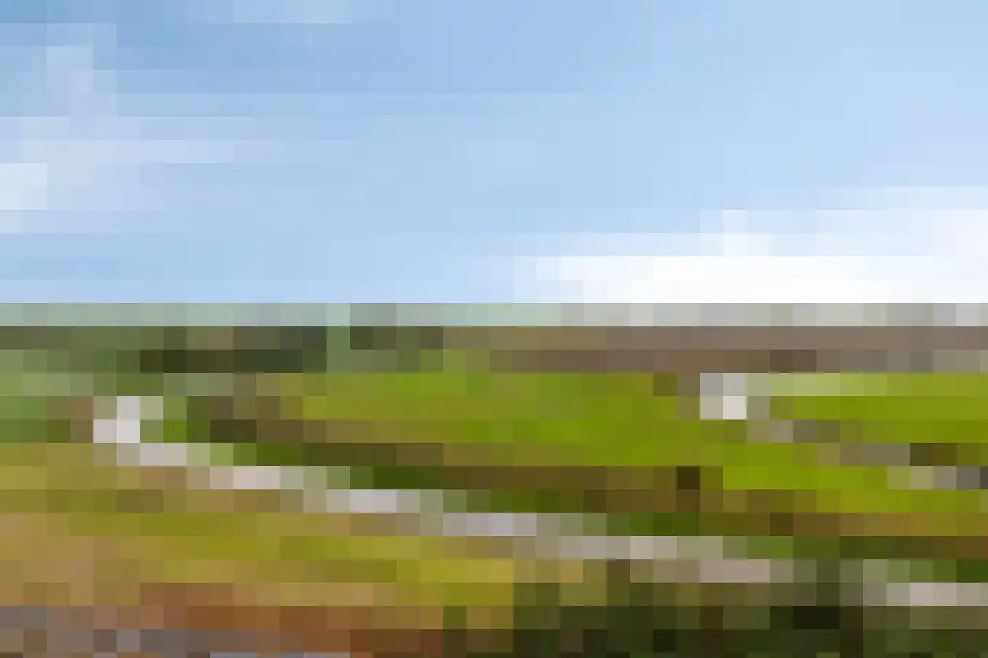 Ravenstein 55 Kruiningen thumbnail 5