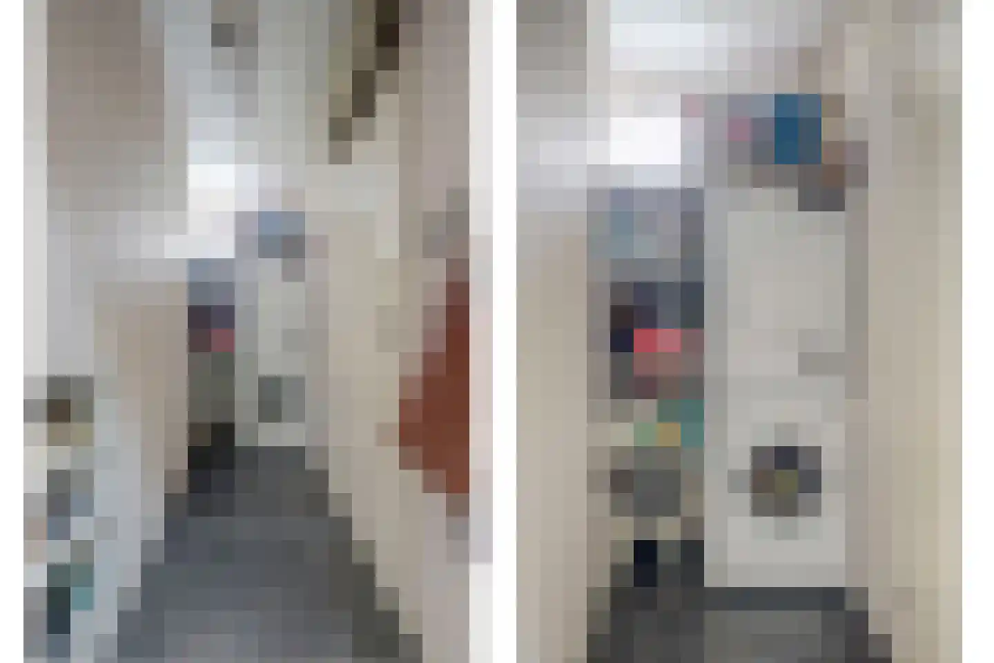 Ravensteinlaan 55 Kloetinge thumbnail 19