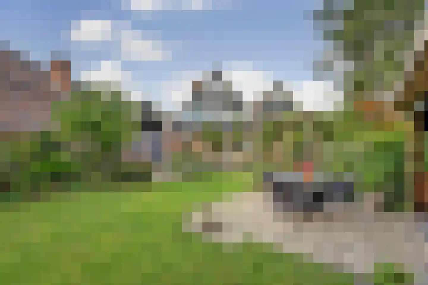 Ravensteinlaan 55 Kloetinge thumbnail 4