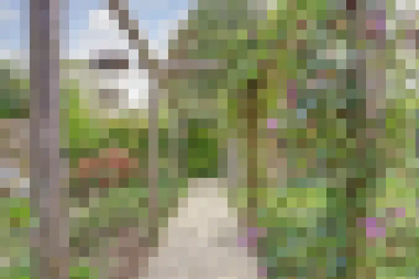 Ravensteinlaan 55 Kloetinge thumbnail 46