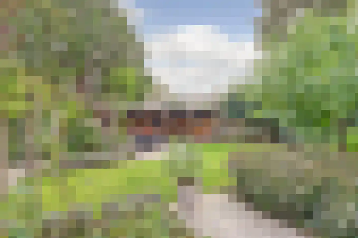 Ravensteinlaan 55 Kloetinge thumbnail 47