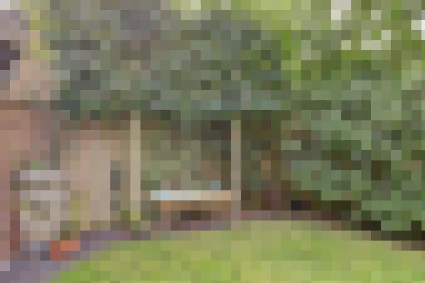 Ravensteinlaan 55 Kloetinge thumbnail 49