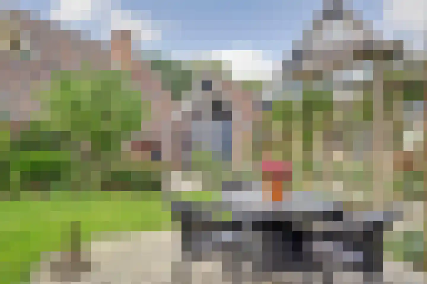 Ravensteinlaan 55 Kloetinge thumbnail 51