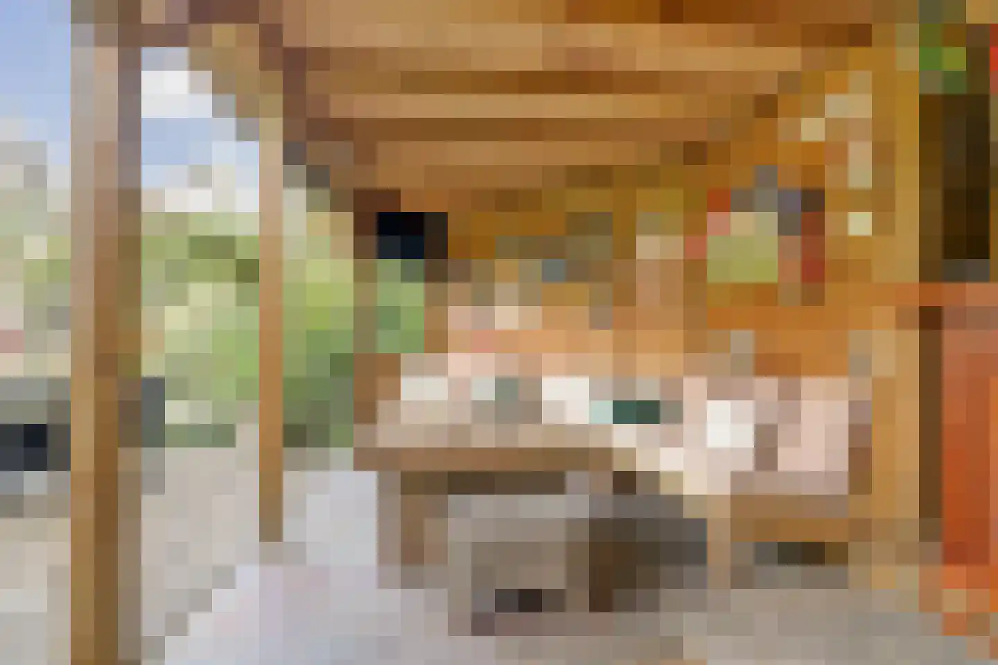 Ravensteinlaan 55 Kloetinge thumbnail 53