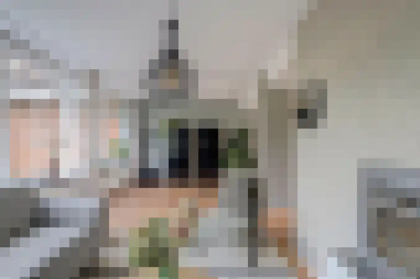 Ravensteinlaan 55 Kloetinge thumbnail 7