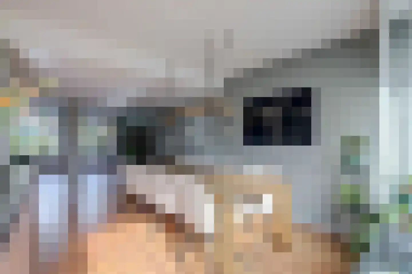 Ravensteinlaan 55 Kloetinge thumbnail 8