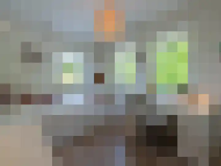 Ravensteinlaan 7 Roosendaal thumbnail 47