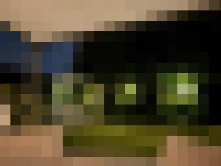 Ravensteinlaan 7 Roosendaal thumbnail 60