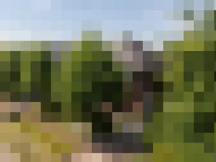 Ravensteinlaan 7 Roosendaal thumbnail 62