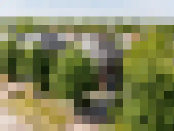 Ravensteinlaan 7 Roosendaal thumbnail 63