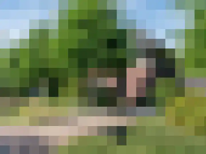 Ravensteinlaan 7 Roosendaal thumbnail 64