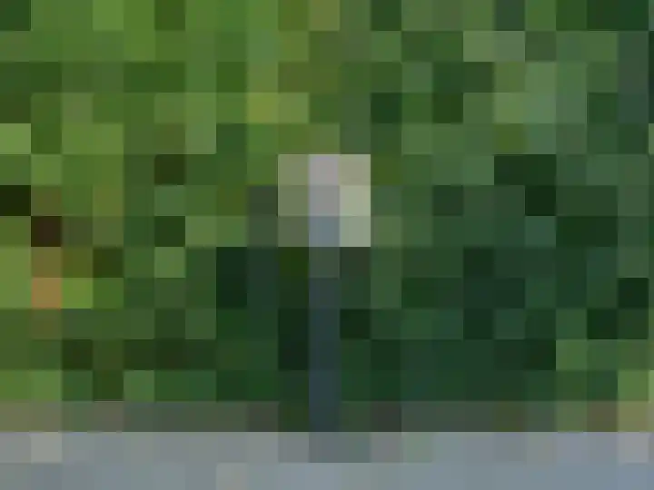 Ravensteinlaan 7 Roosendaal thumbnail 8