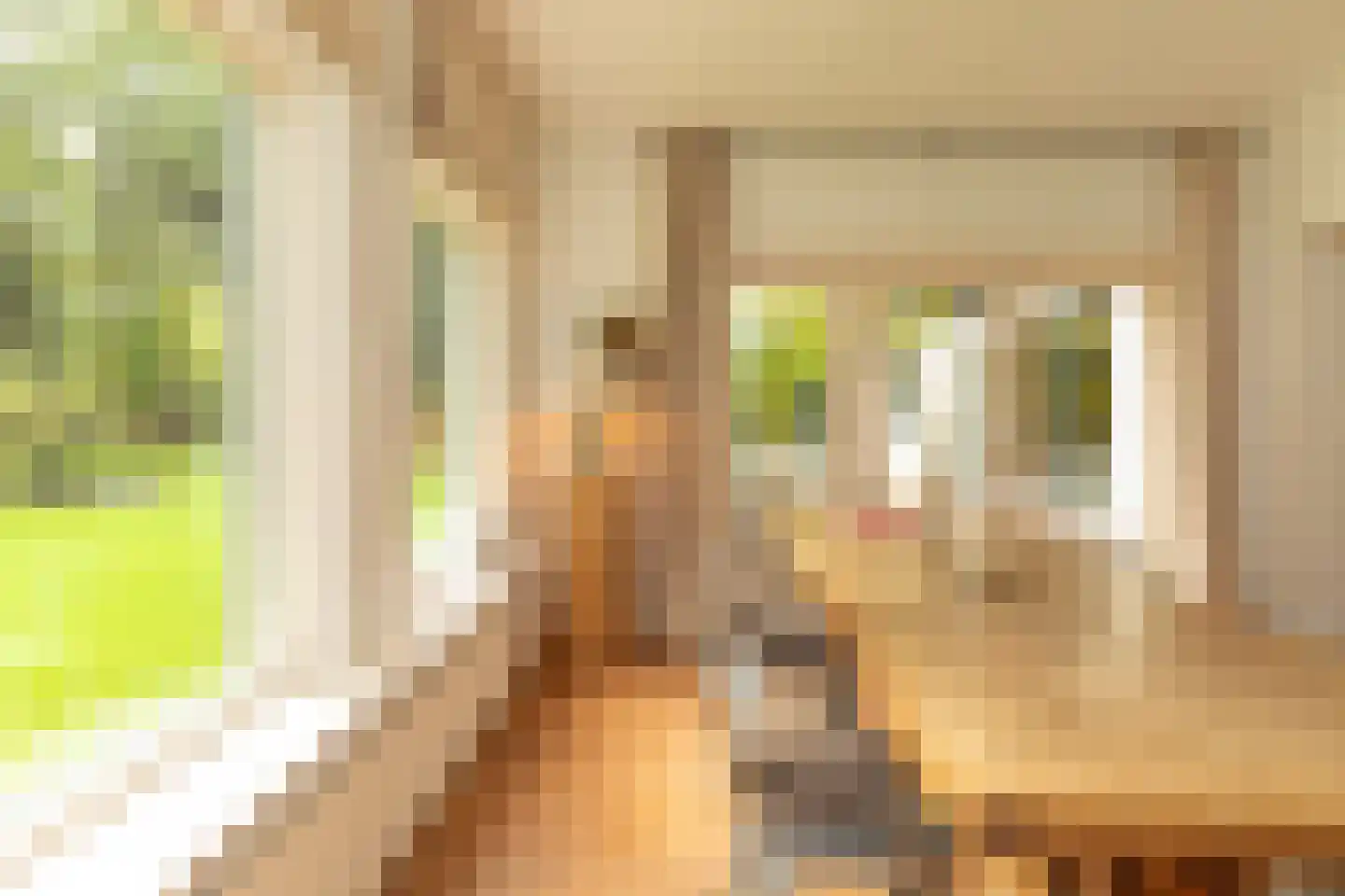 Ravensteinselaan 1 Baarn thumbnail 18