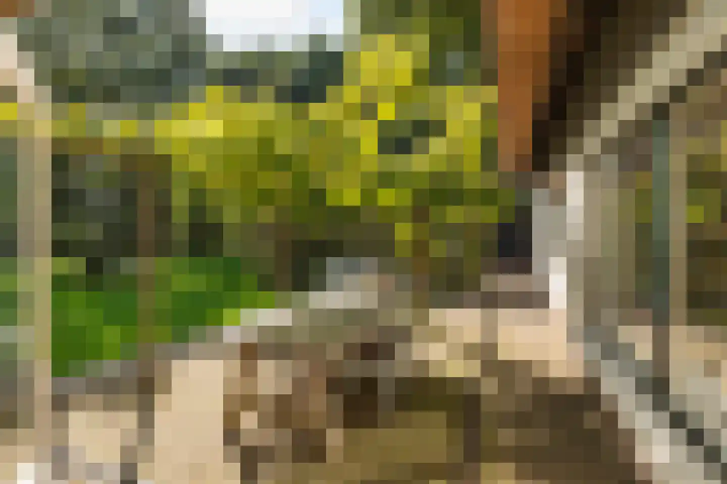 Ravensteinselaan 1 Baarn thumbnail 30