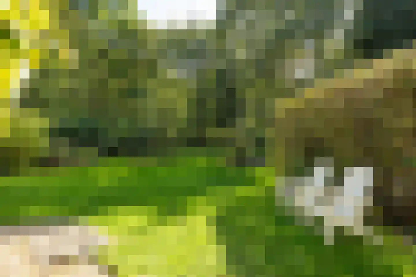 Ravensteinselaan 1 Baarn thumbnail 31