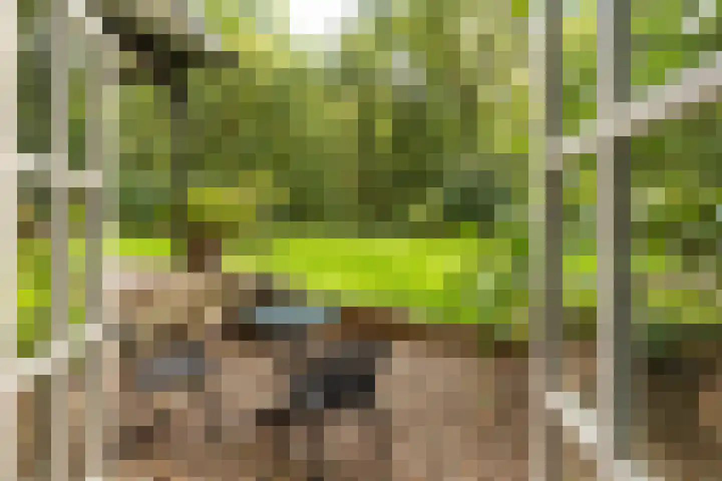 Ravensteinselaan 1 Baarn thumbnail 36
