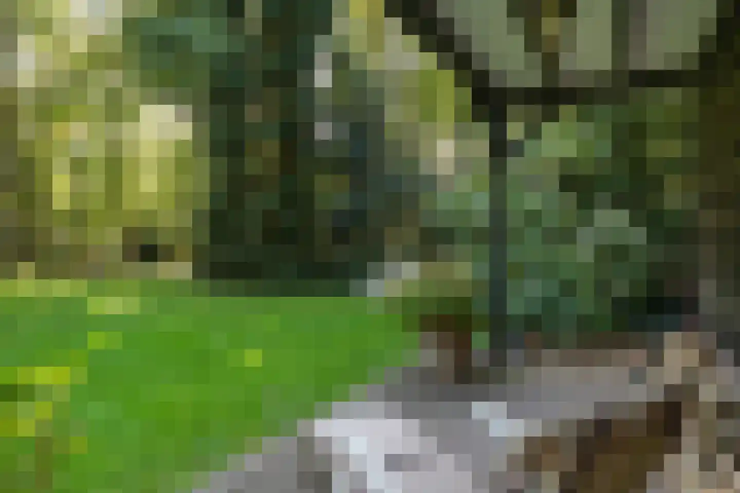 Ravensteinselaan 1 Baarn thumbnail 37