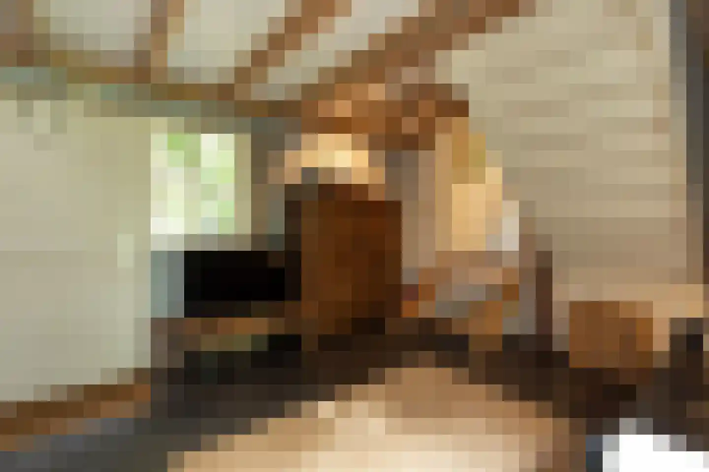 Ravensteinselaan 1 Baarn thumbnail 39