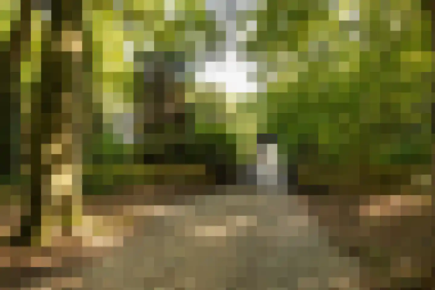 Ravensteinselaan 1 Baarn thumbnail 47