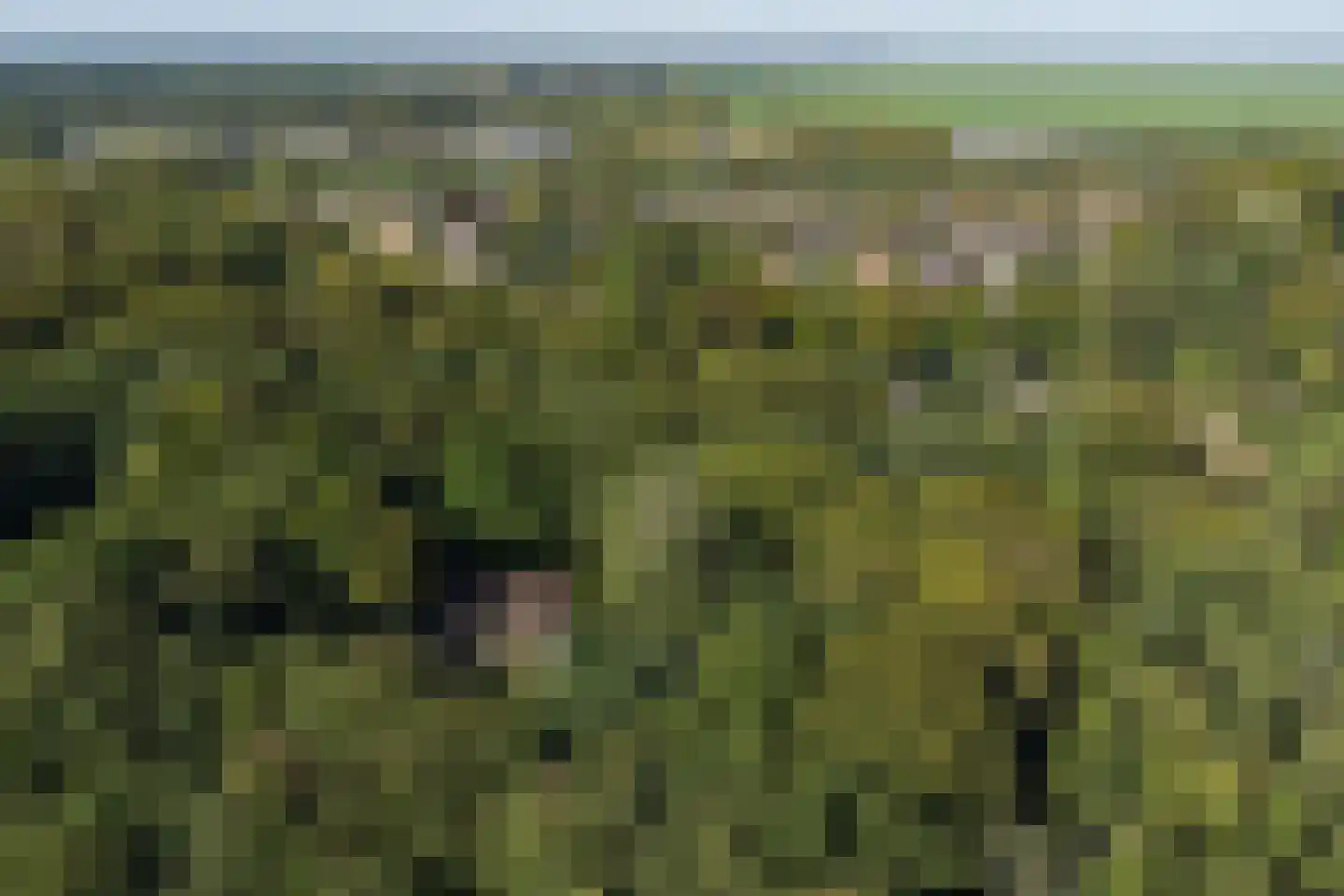 Ravensteinselaan 1 Baarn thumbnail 49