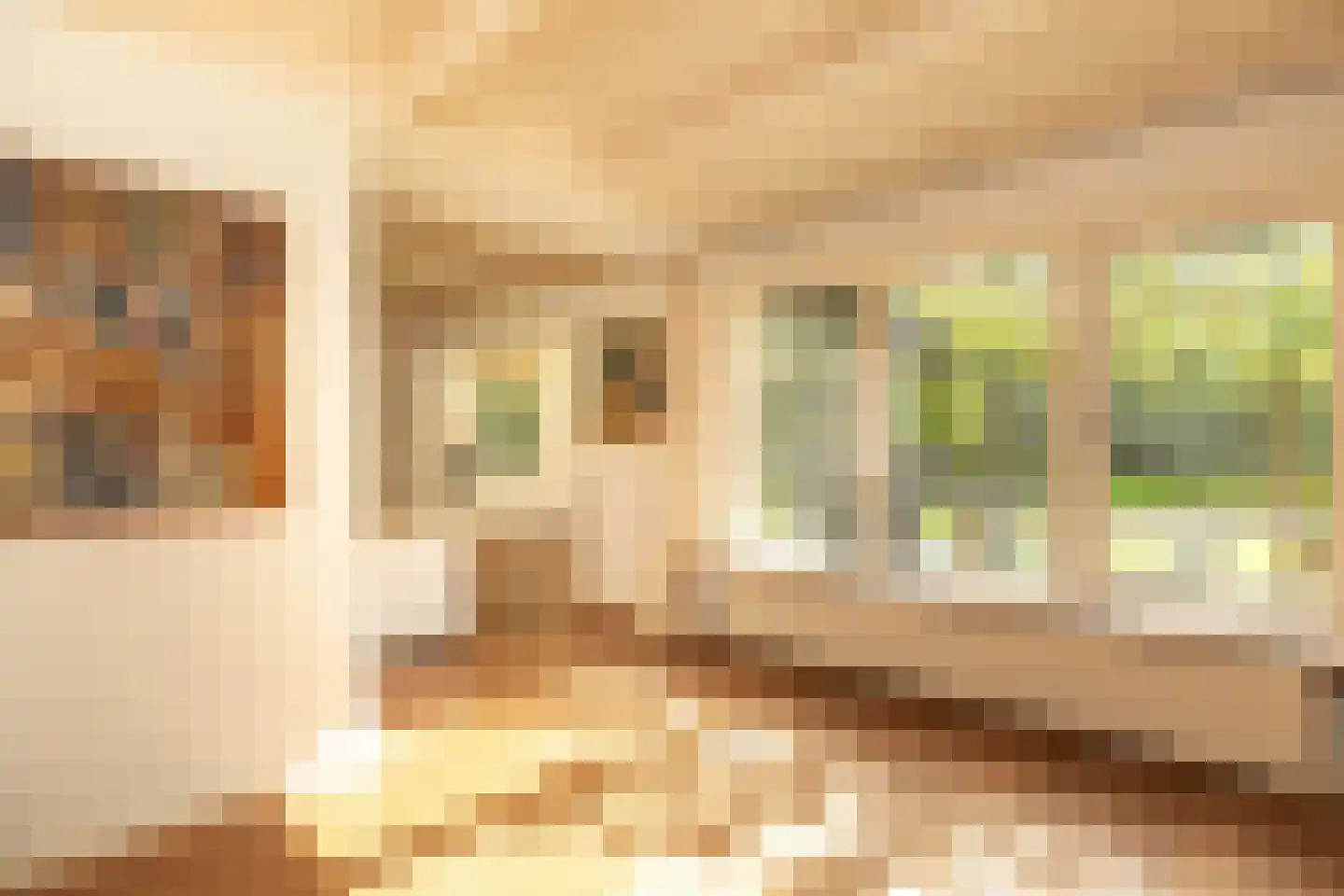 Ravensteinselaan 1 Baarn thumbnail 9