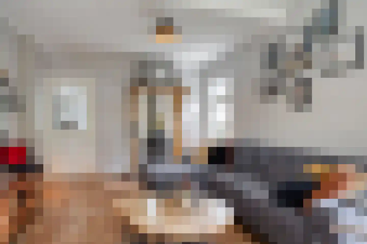 Ravenstraat 12 Epe thumbnail 11