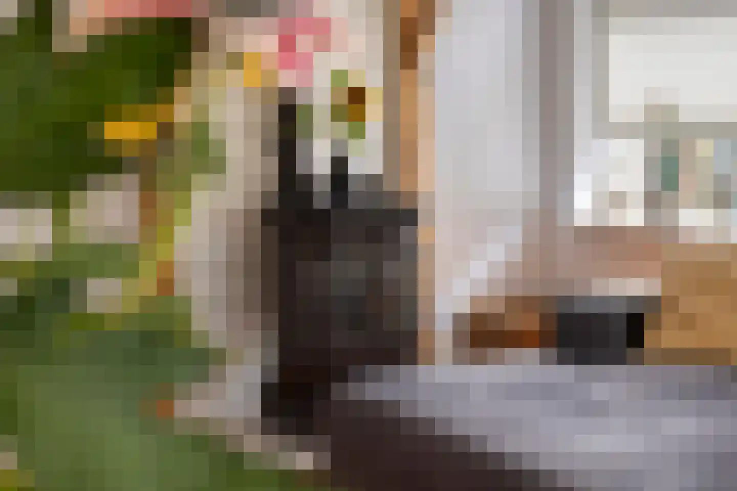 Ravenstraat 12 Epe thumbnail 12
