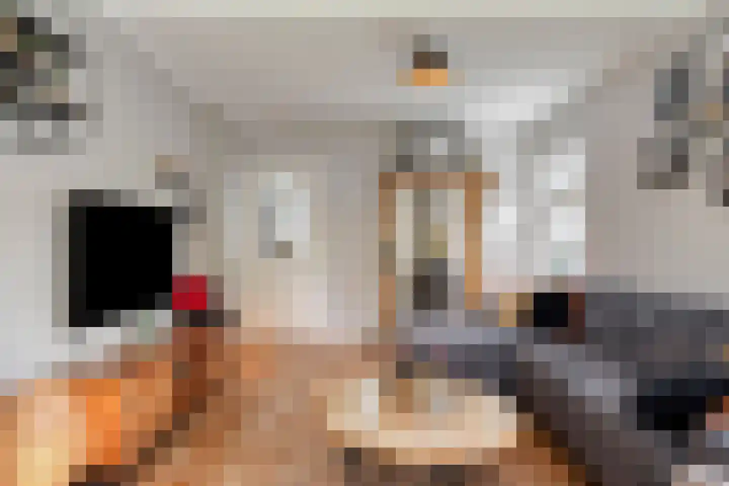 Ravenstraat 12 Epe thumbnail 13