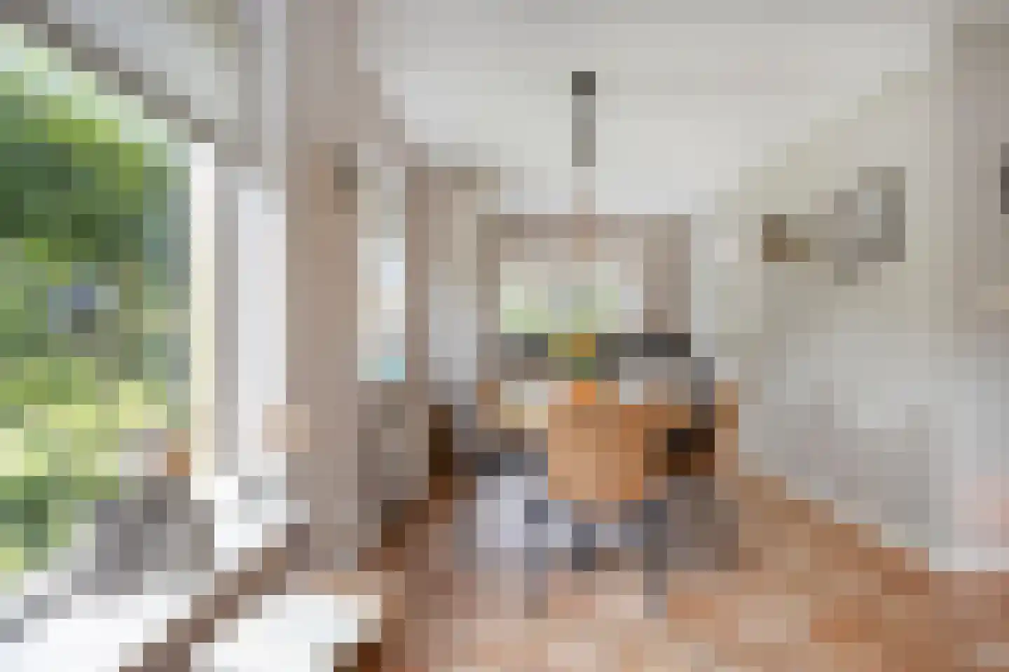 Ravenstraat 12 Epe thumbnail 14