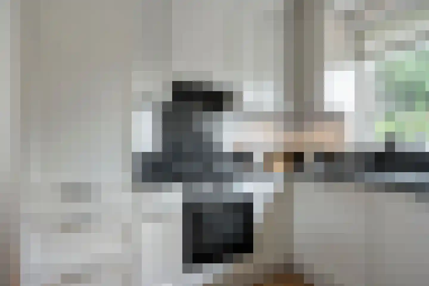 Ravenstraat 12 Epe thumbnail 19