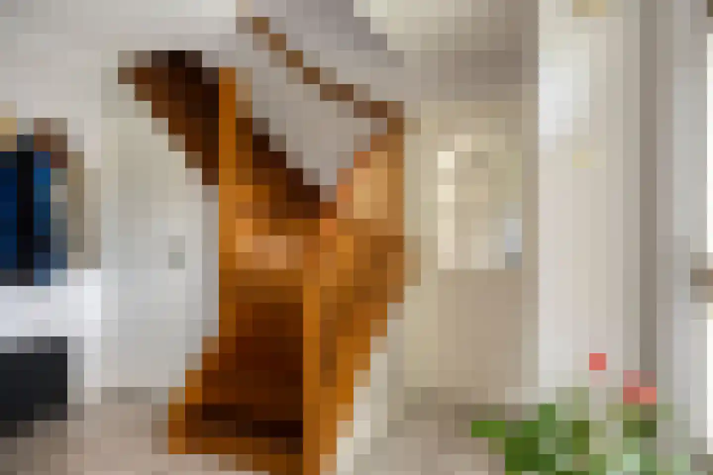 Ravenstraat 12 Epe thumbnail 27