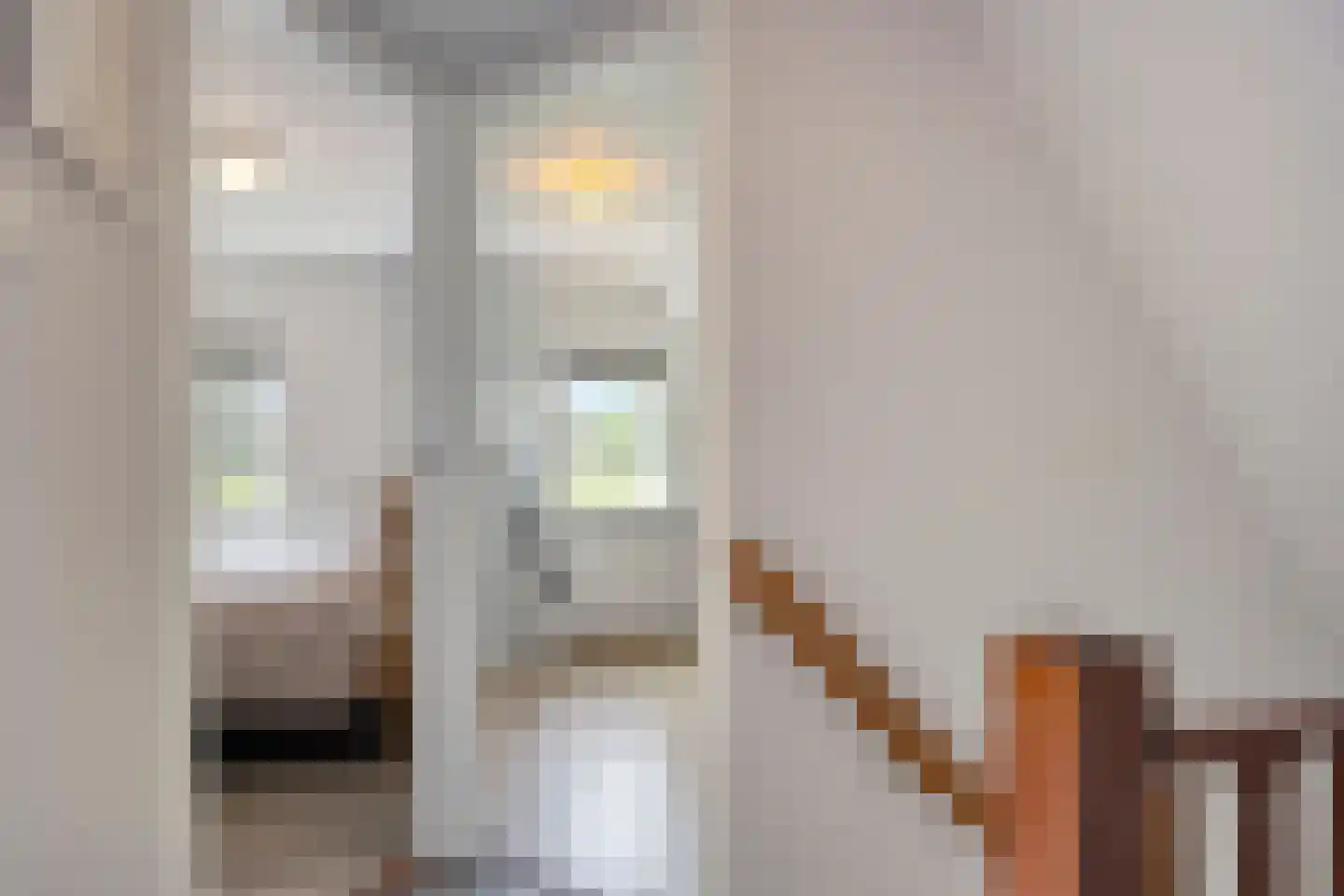 Ravenstraat 12 Epe thumbnail 29