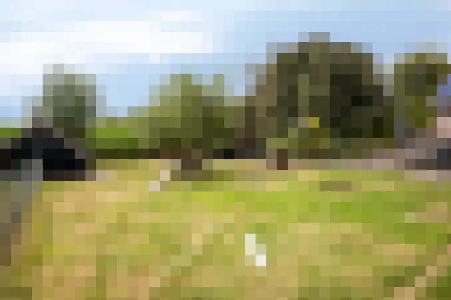 Ravenstraat 12 Epe thumbnail 37