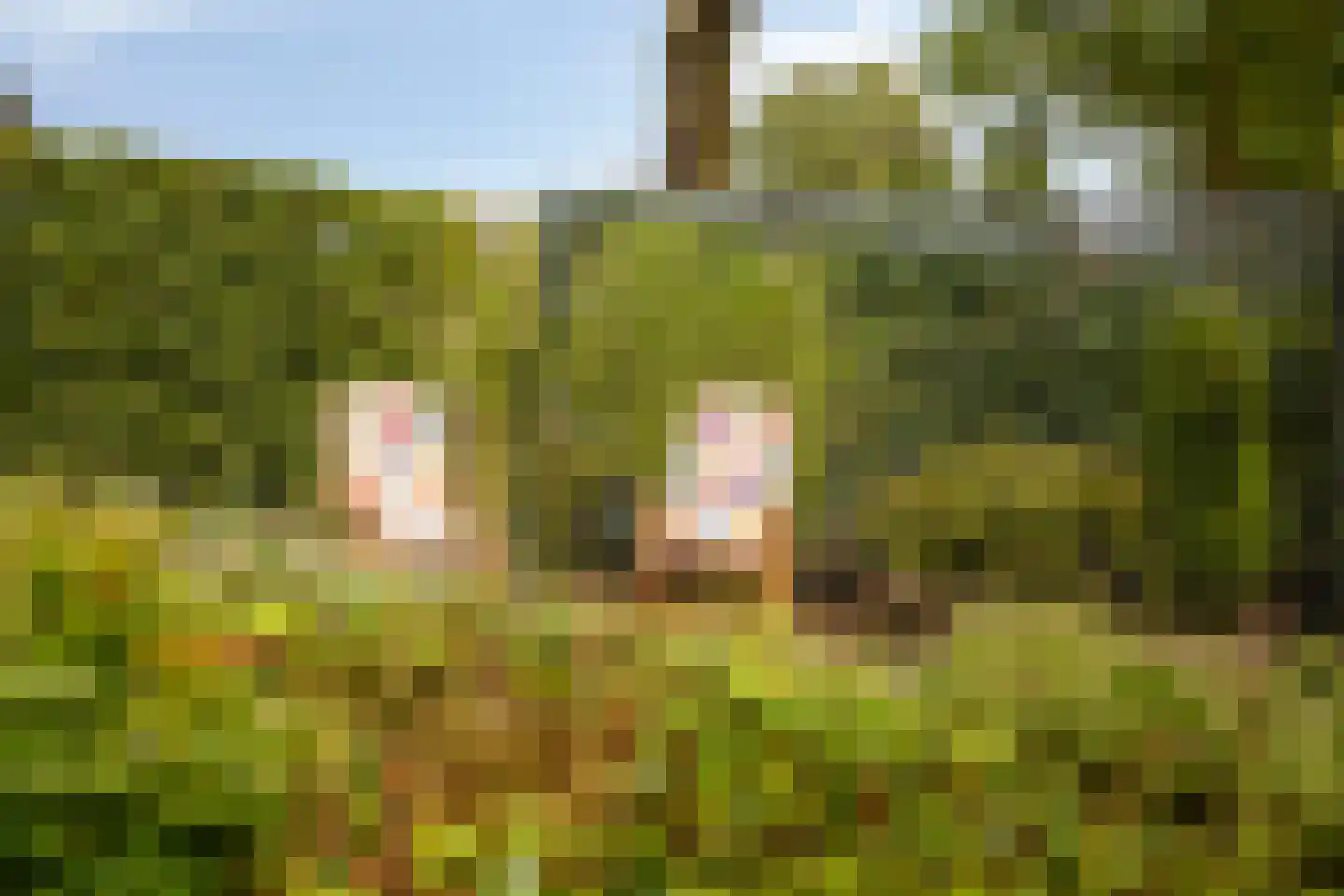Ravenstraat 12 Epe thumbnail 44