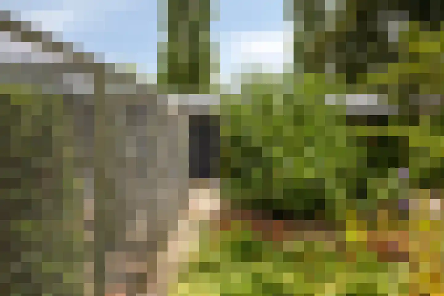 Ravenstraat 12 Epe thumbnail 46