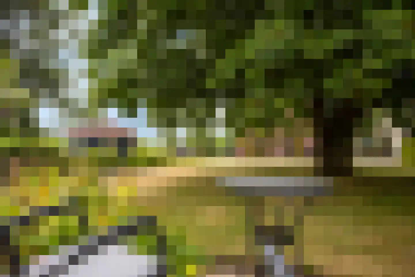 Ravenstraat 12 Epe thumbnail 47