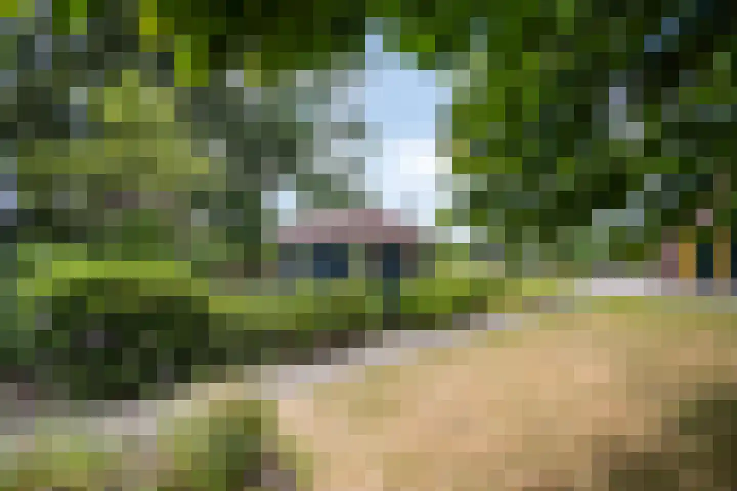 Ravenstraat 12 Epe thumbnail 48