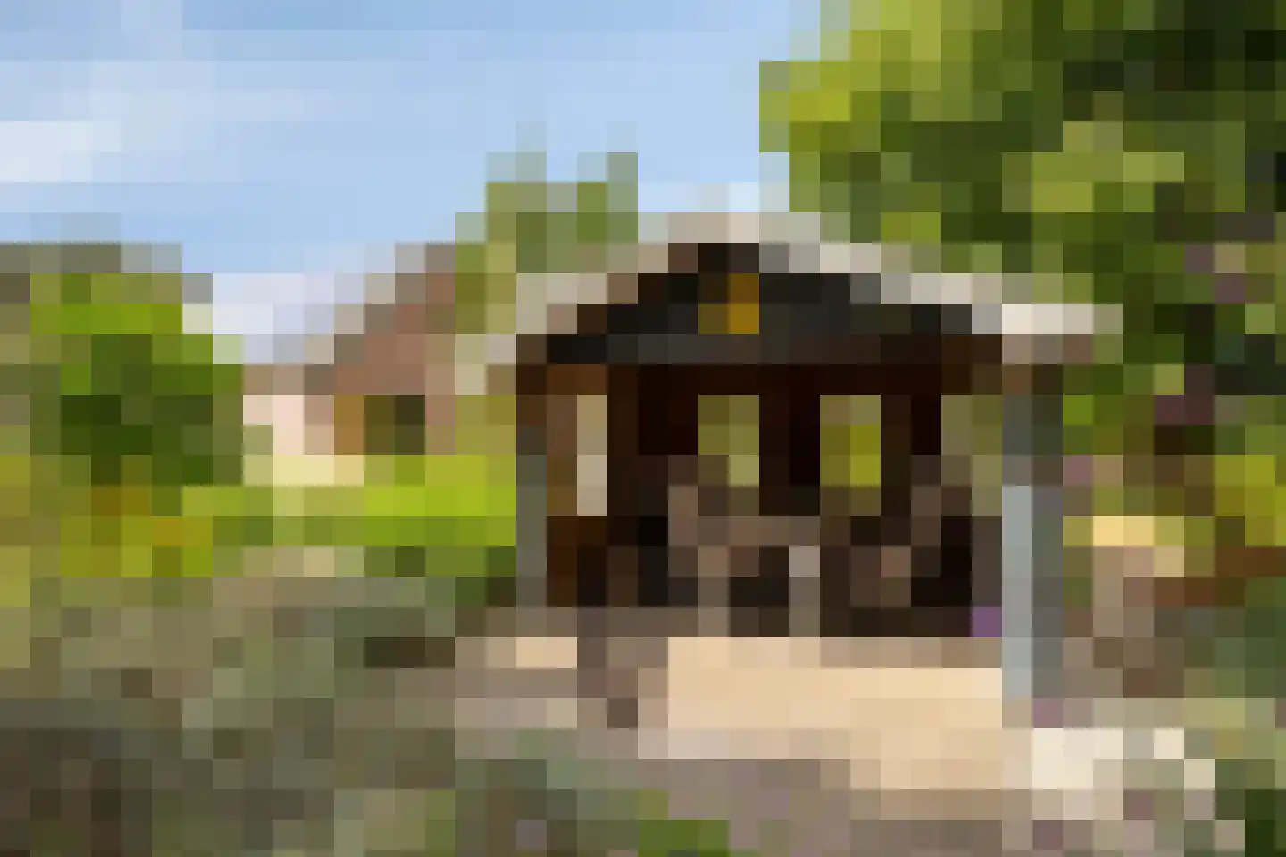 Ravenstraat 12 Epe thumbnail 53