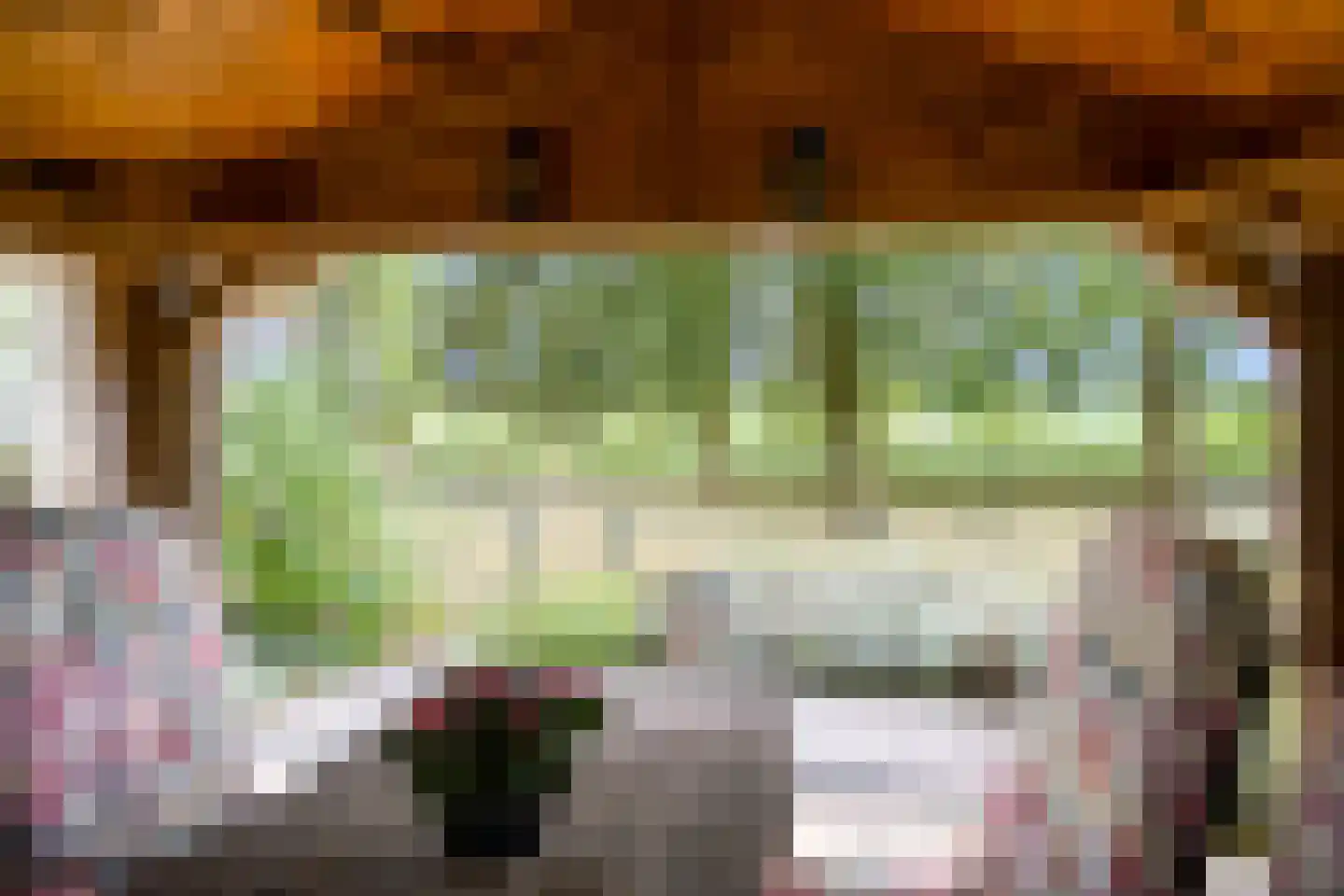 Ravenstraat 12 Epe thumbnail 55