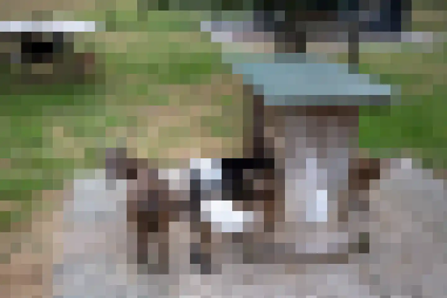 Ravenstraat 12 Epe thumbnail 59